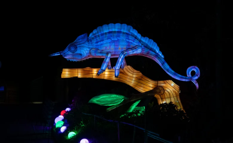 Instalações artísticas