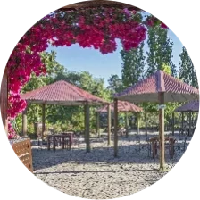 Bar del Lago