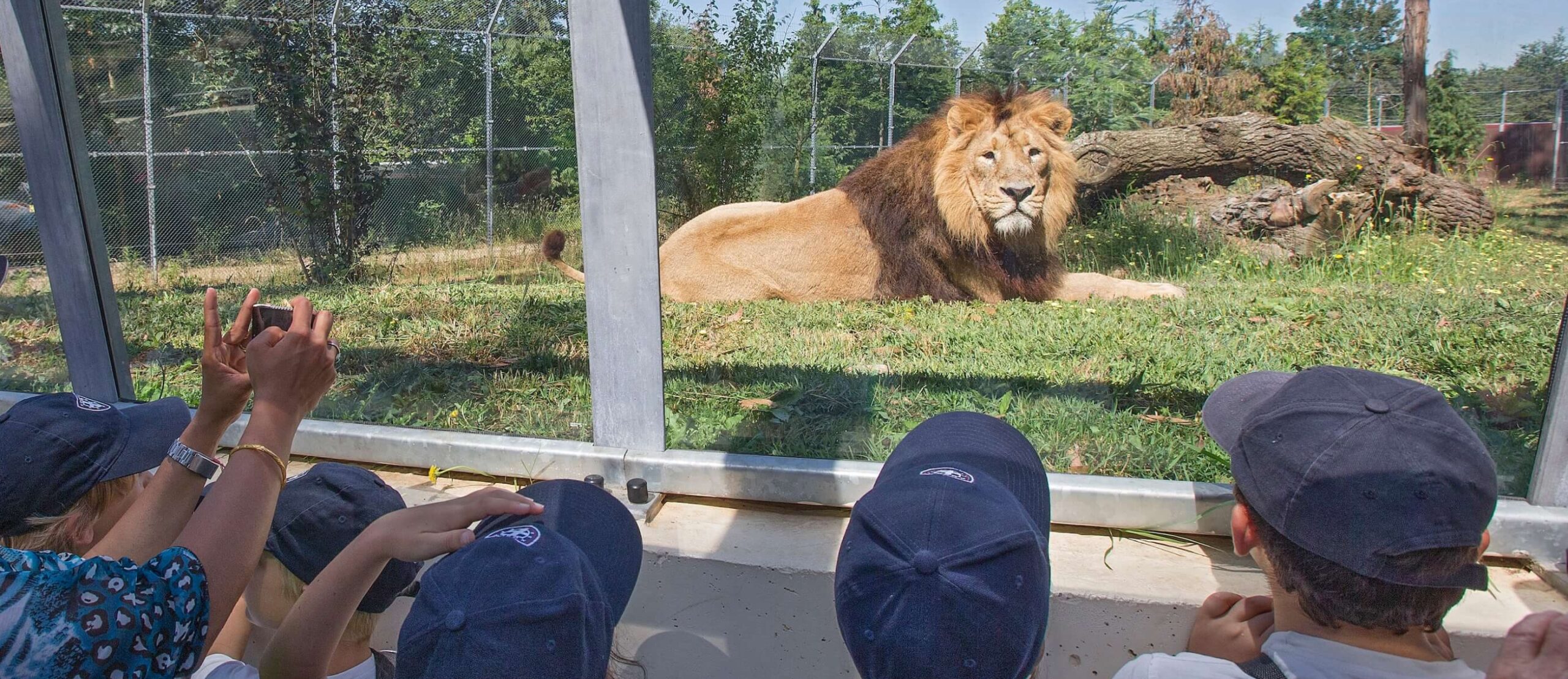 Zoo Santo Inácio