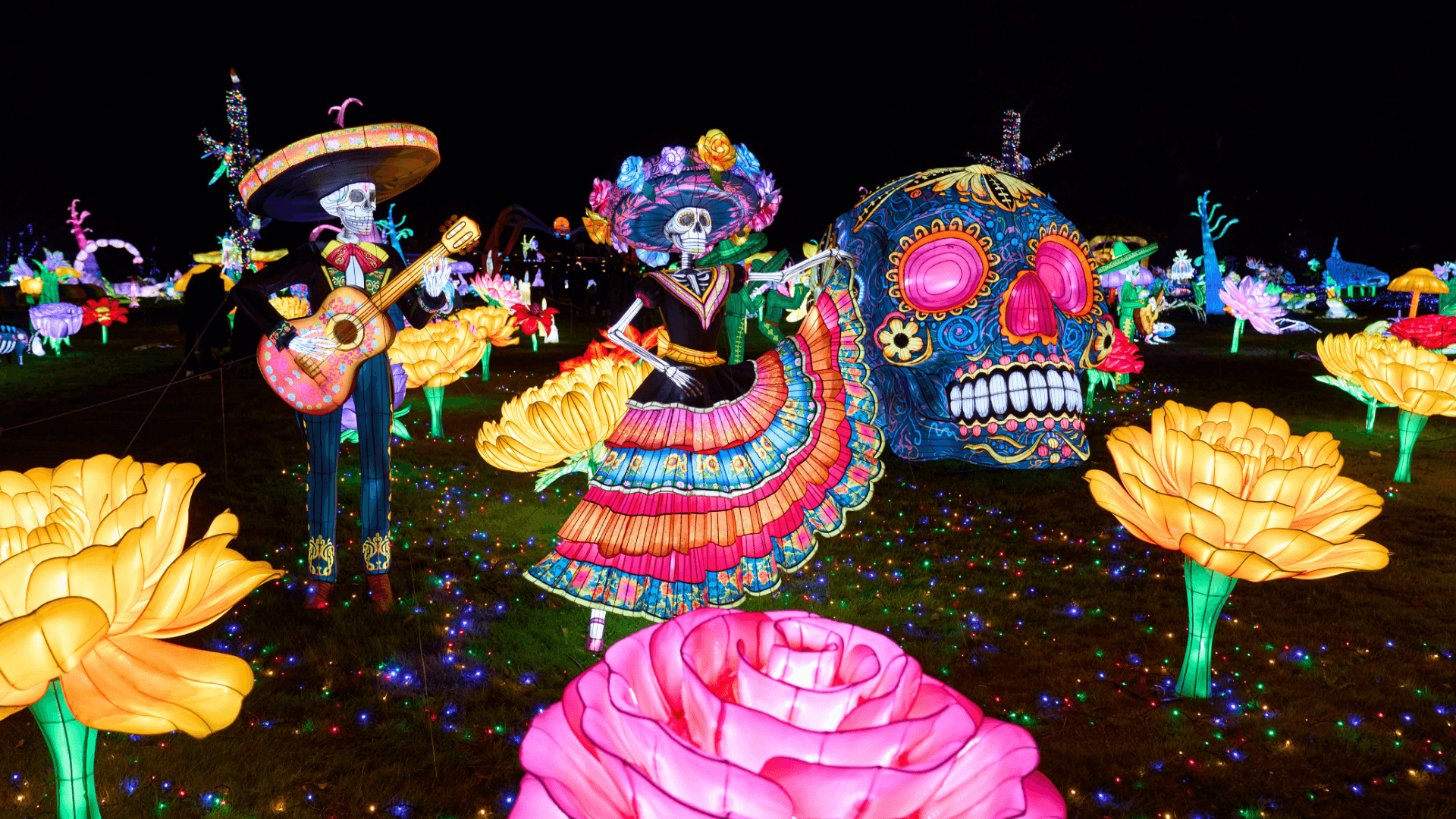 Wild Lights 2026: An Immersive and Luminous Experience at Zoo