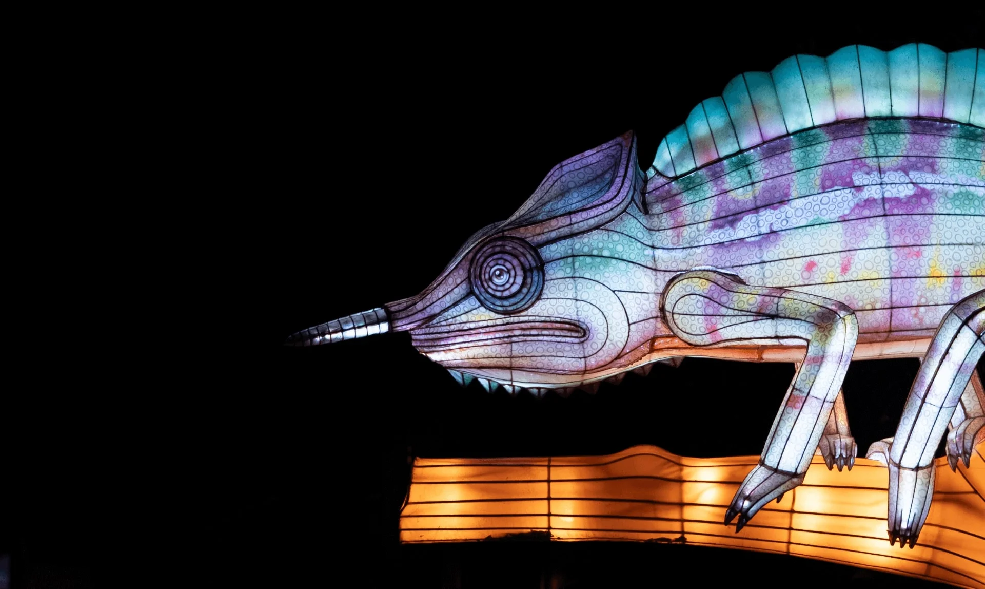 Camaleón iluminado sobre una rama luminosa en Luces Salvajes
