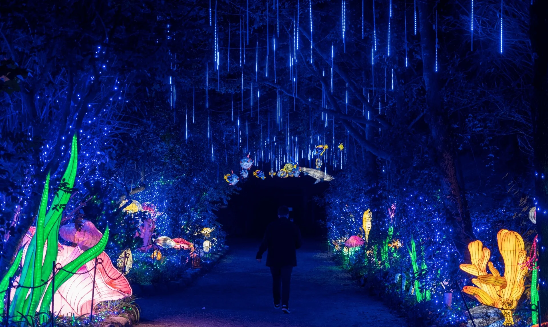 Camino bajo una lluvia de luces azules con figuras iluminadas en Luces Salvajes