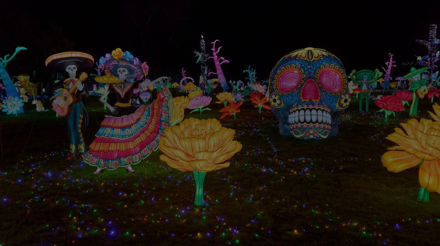 Figuras luminosas de una catrina y una calavera mexicana en Luces Salvajes del Zoo Santo Inácio