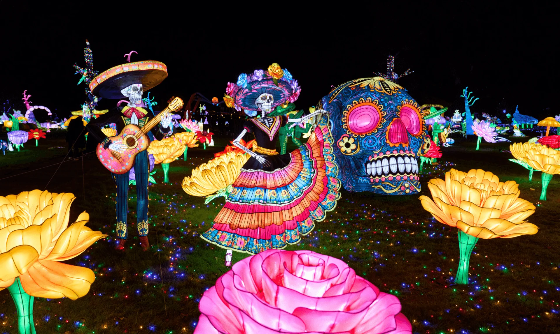 Catrinas, calavera y flores iluminadas del universo Día de los Muertos en Luces Salvajes