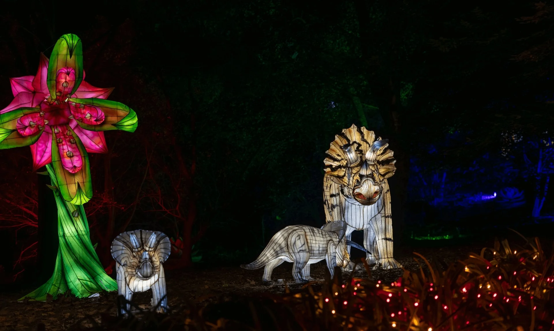 Familia de leones iluminados junto a una flor gigante en Luces Salvajes