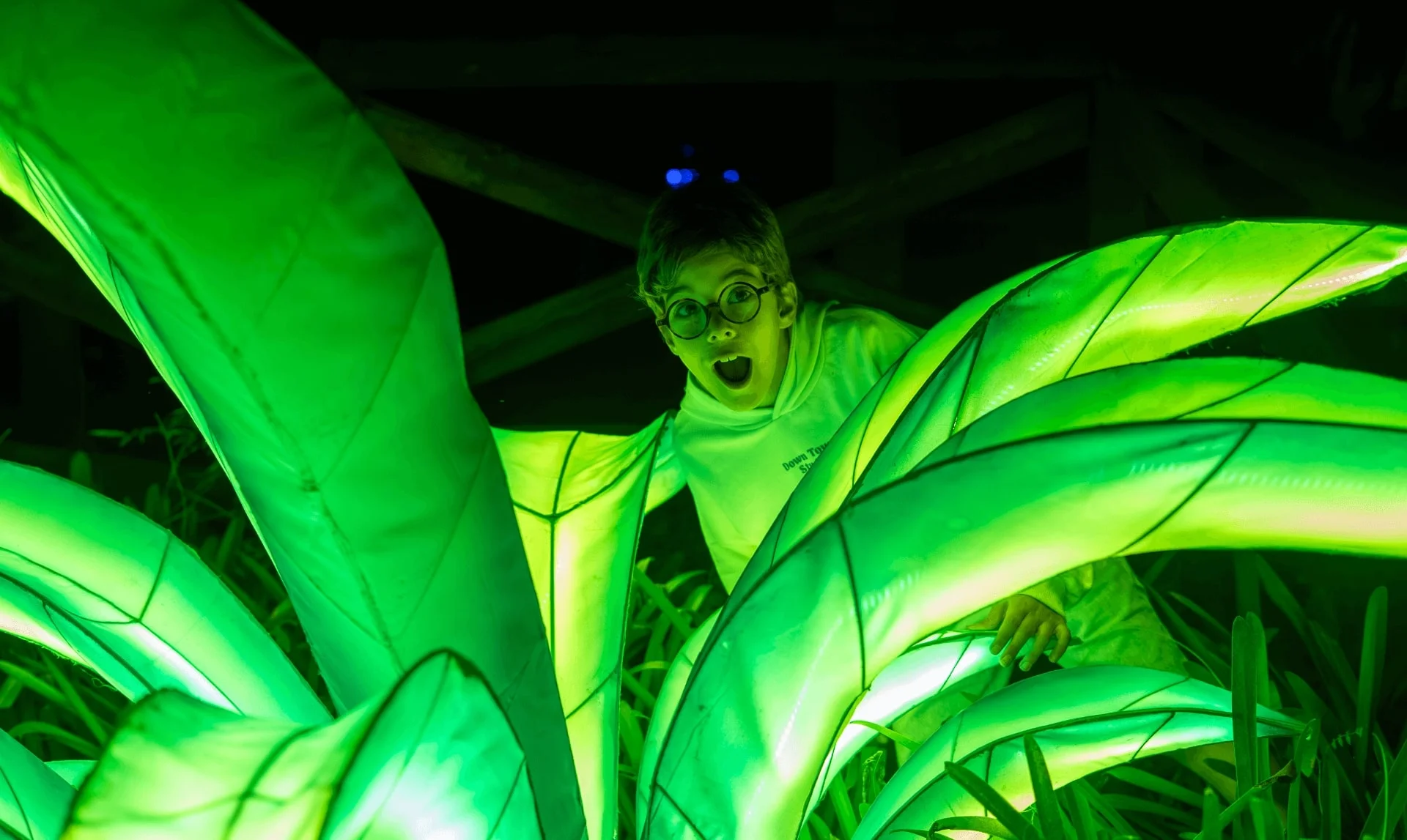 Visitante entre hojas gigantes iluminadas en verde en Luces Salvajes